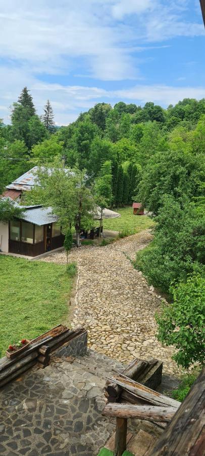 Cabana Bradului Breaza  Exterior photo