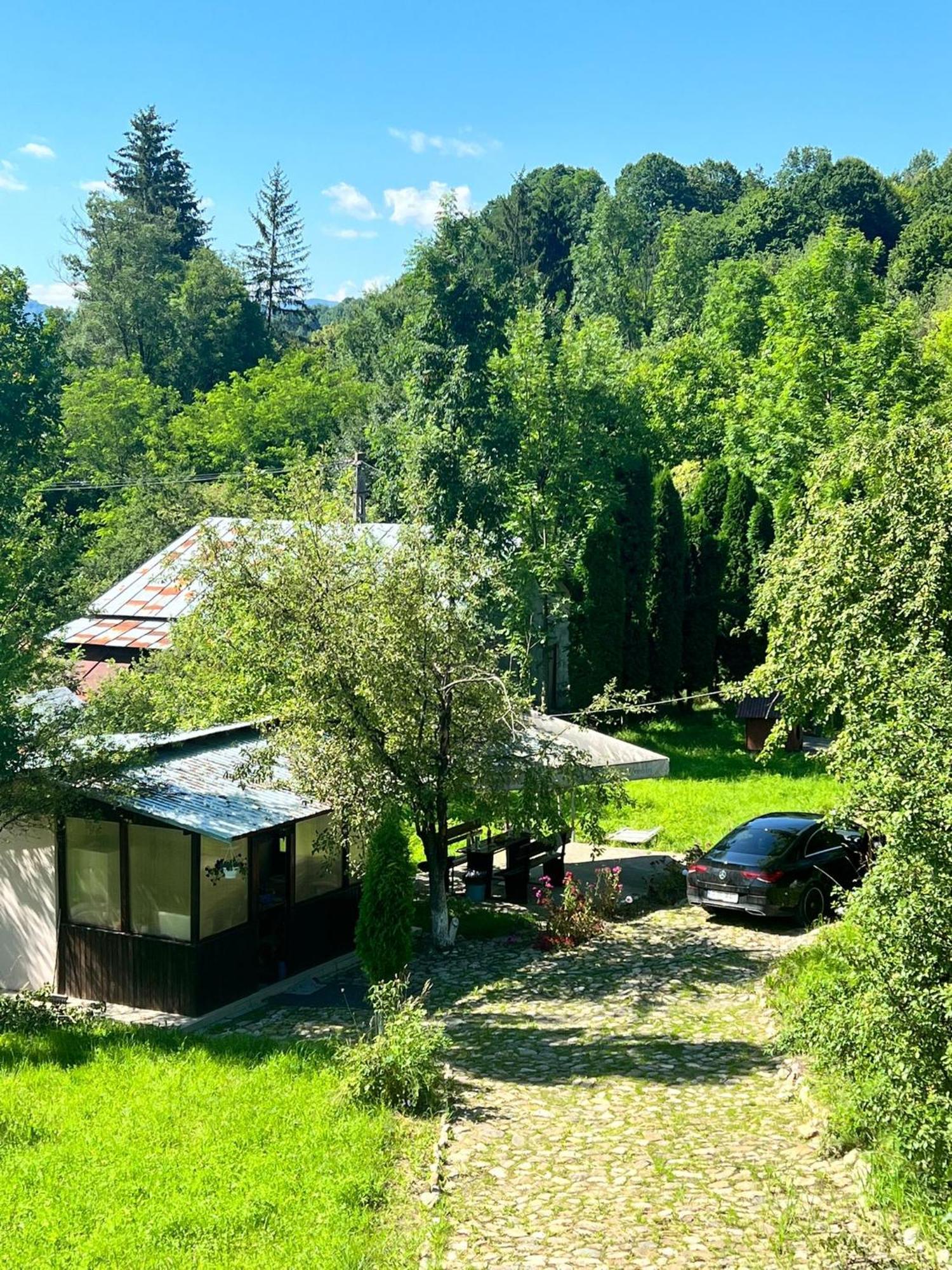 Cabana Bradului Breaza  Exterior photo