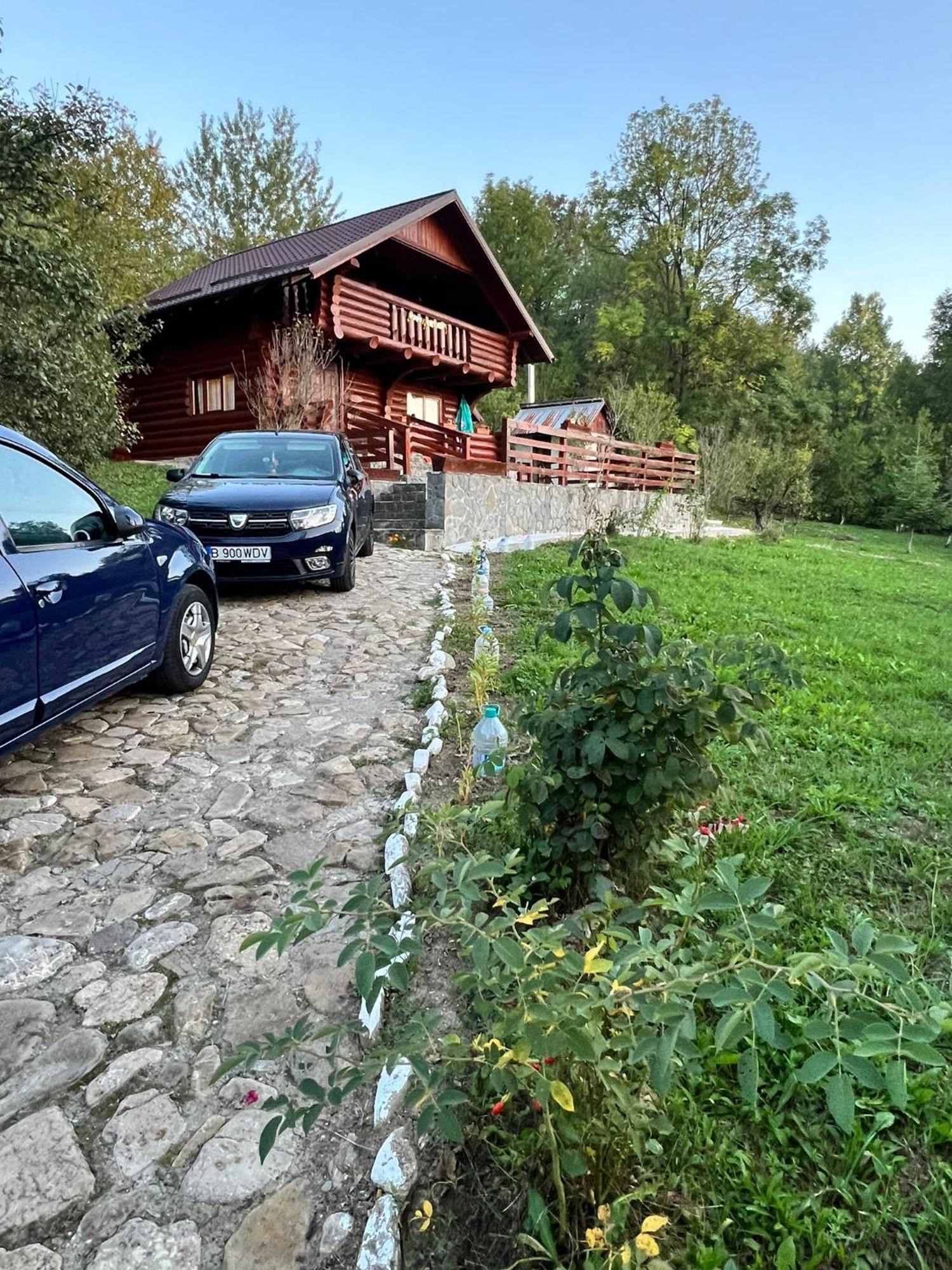 Cabana Bradului Breaza  Exterior photo