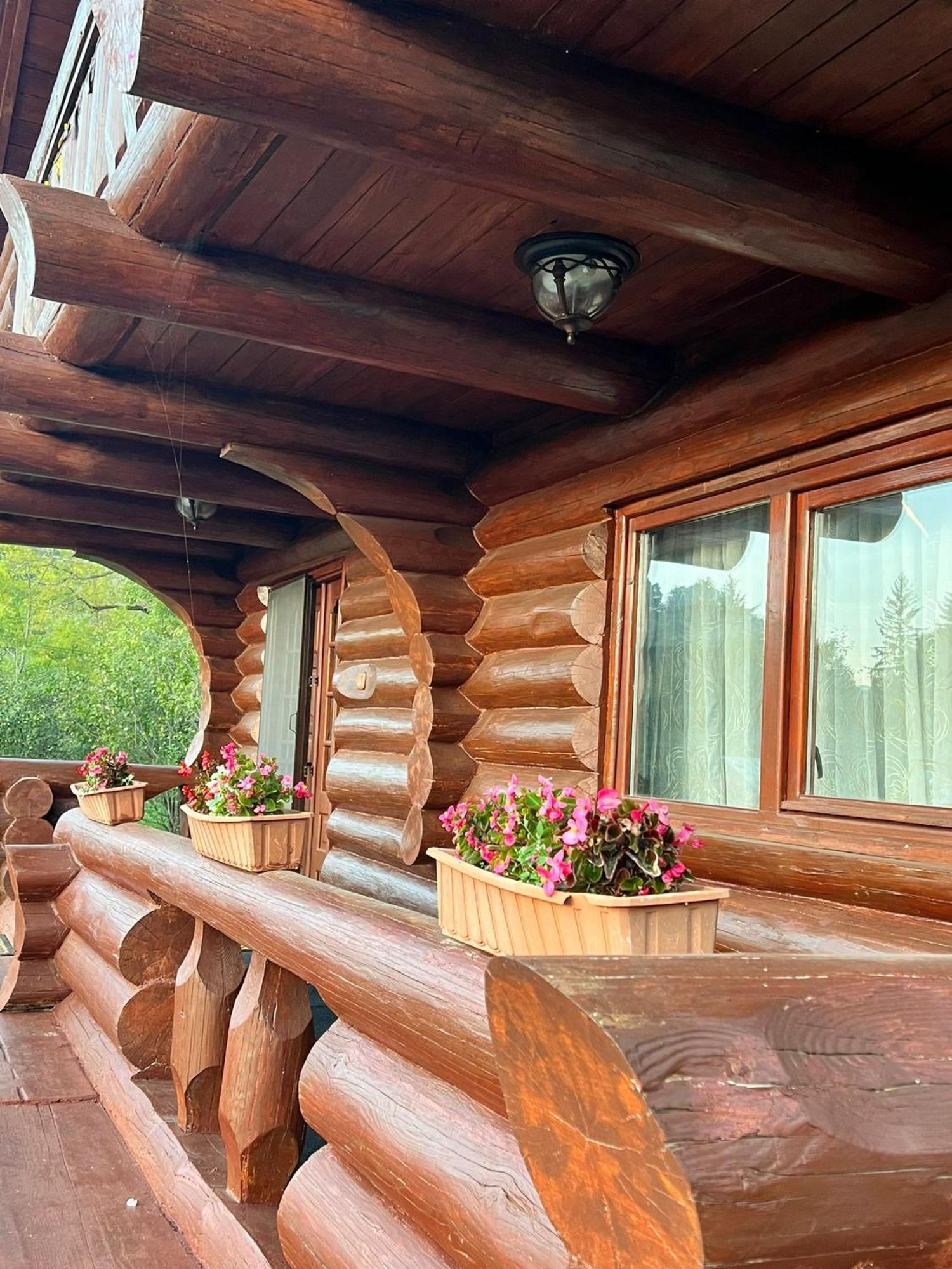 Cabana Bradului Breaza  Exterior photo